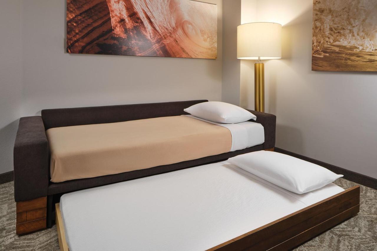 Springhill Suites By Marriott Jacksonville Baymeadows ภายนอก รูปภาพ